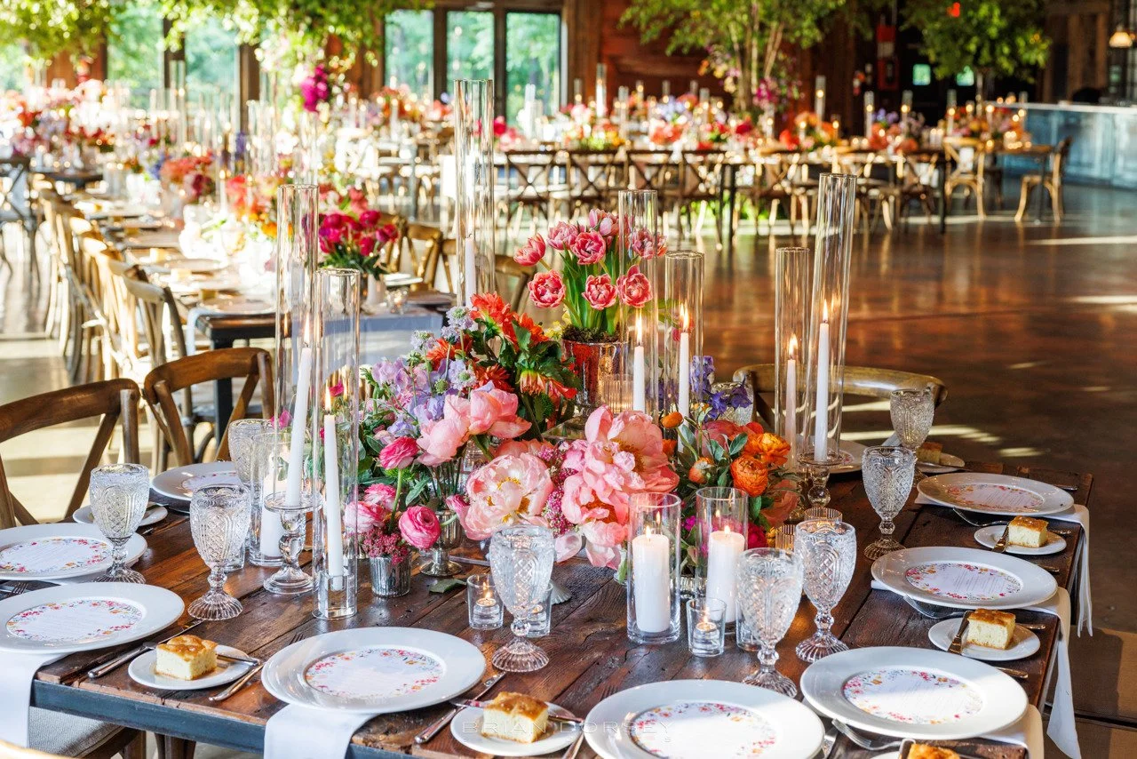 0259 Stein Highlights.jpeg