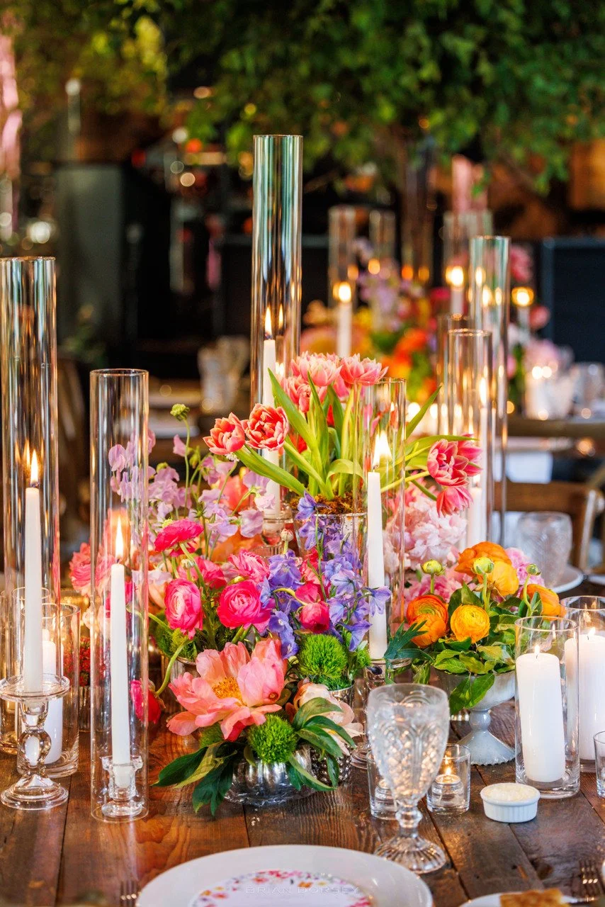 0260 Stein Highlights.jpeg