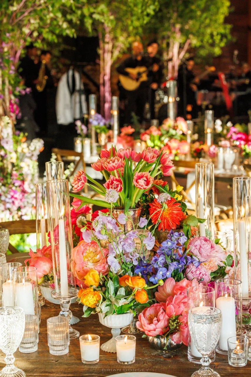 0261 Stein Highlights.jpeg