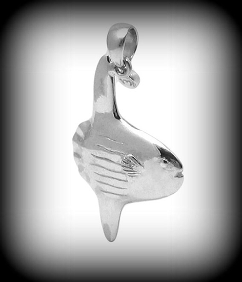 Mola_big_front_BW_4.png