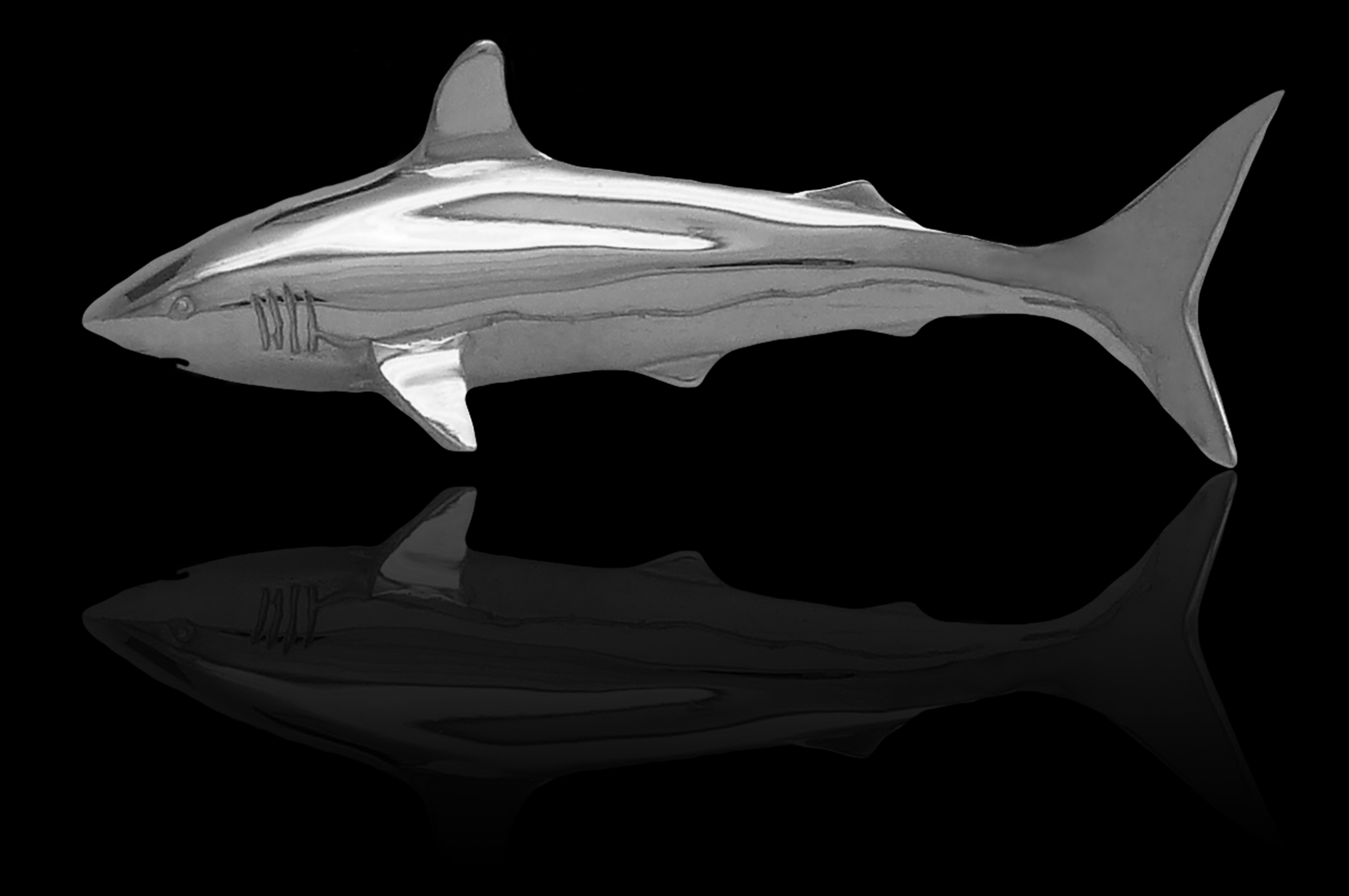 GreatWhite_BS_cleaned.png