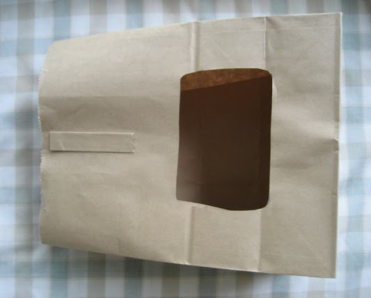 paper-bag-space-helmet-3.jpg
