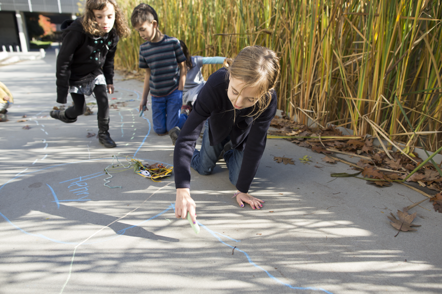 making a nature map · Windy & friends craft activity 