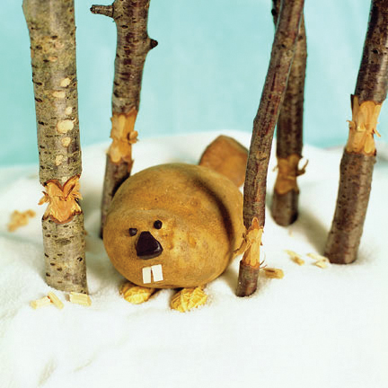 could a potato be a beaver?