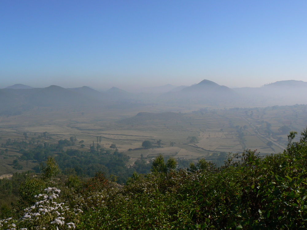 misty araku.jpeg