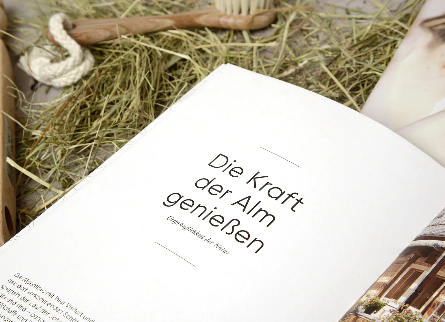 ALMDORF_580x800_print12.jpg