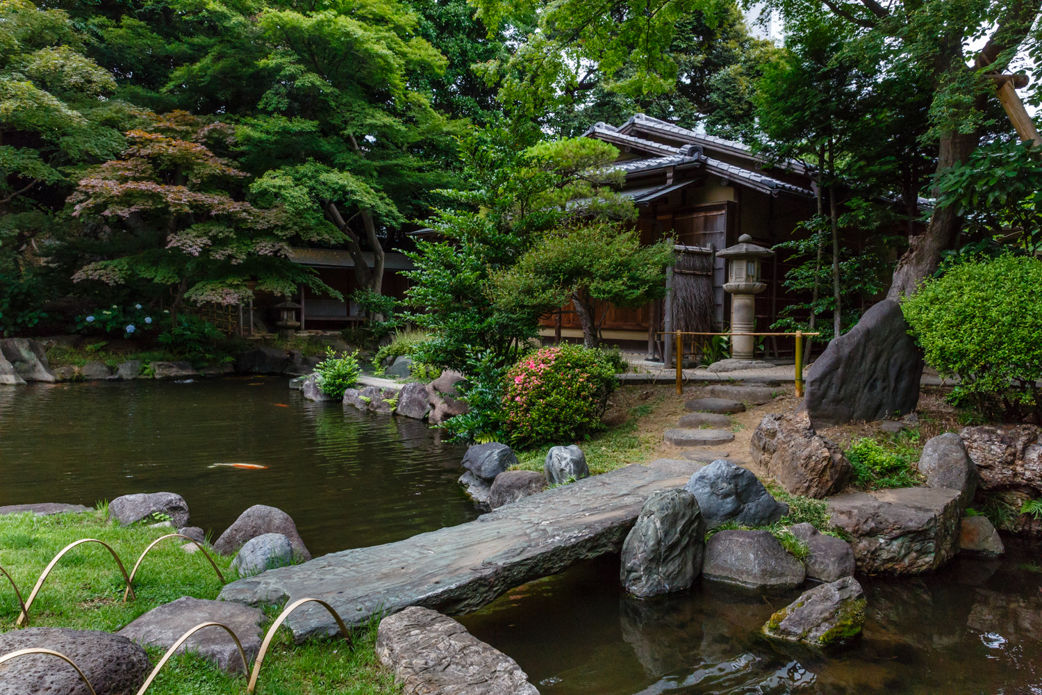 20130610-_5D30613.jpg