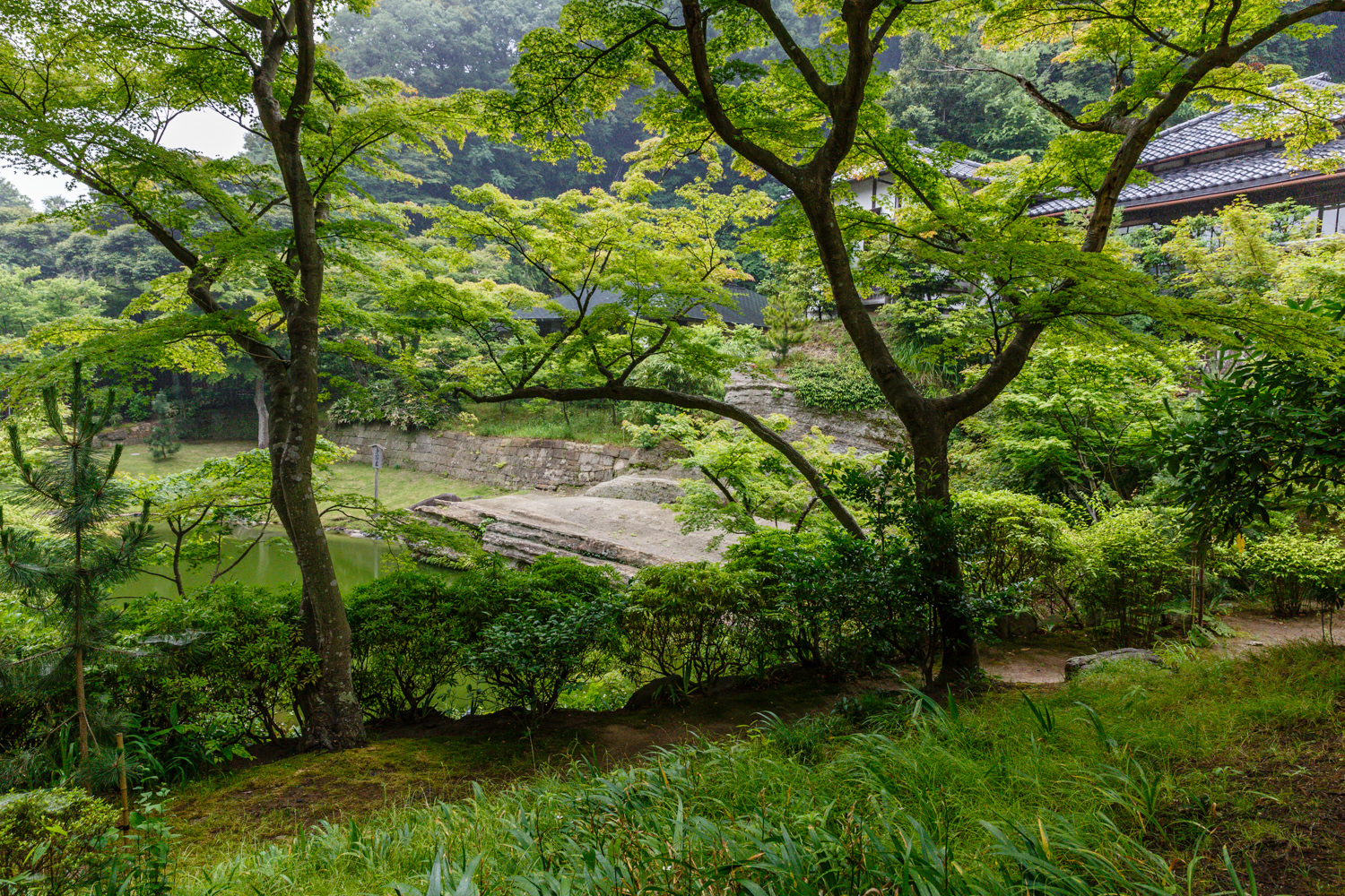 20130611-_5D30666.jpg