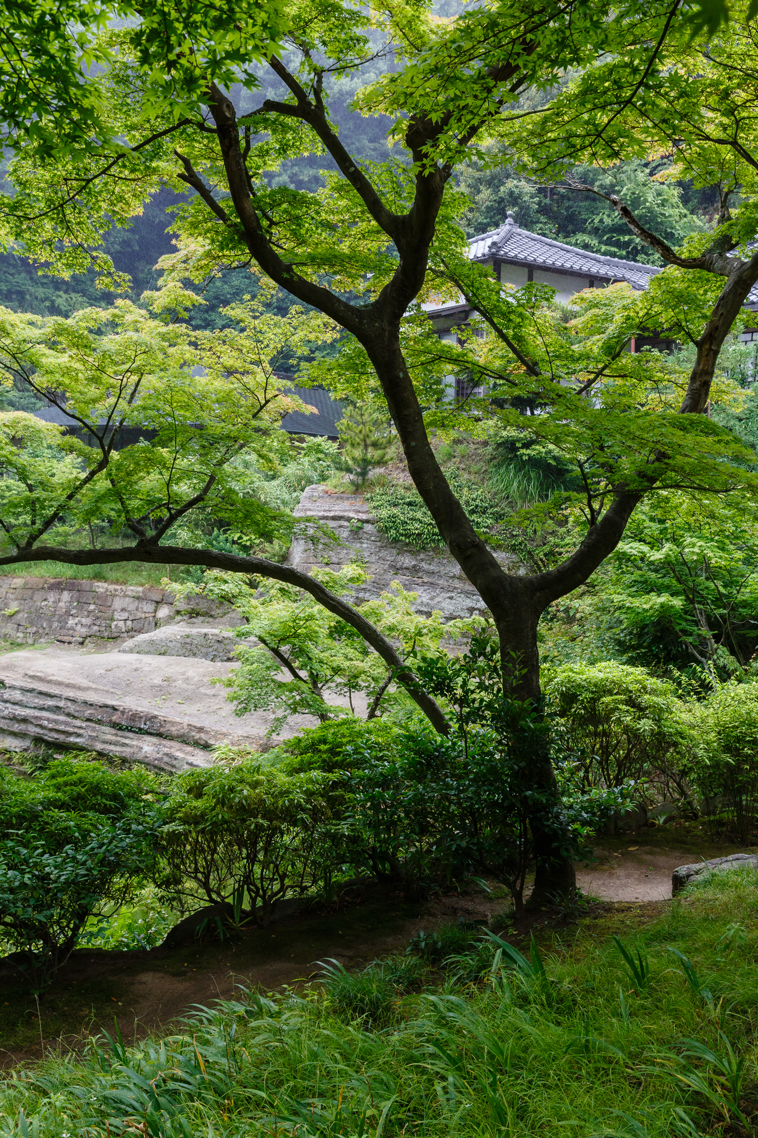 20130611-_5D30667.jpg