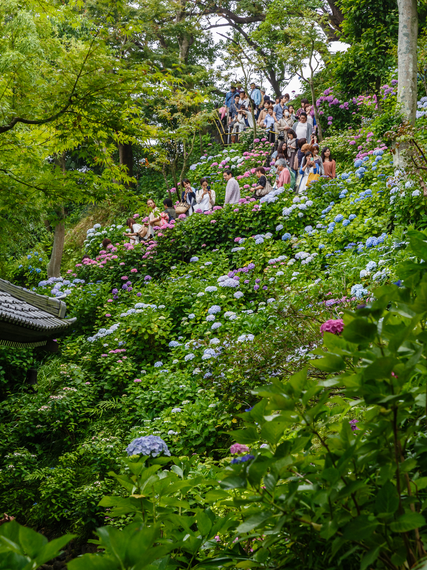 20130611-_5D30708.jpg