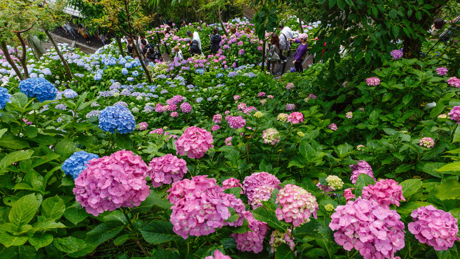 20130611-_5D30721.jpg