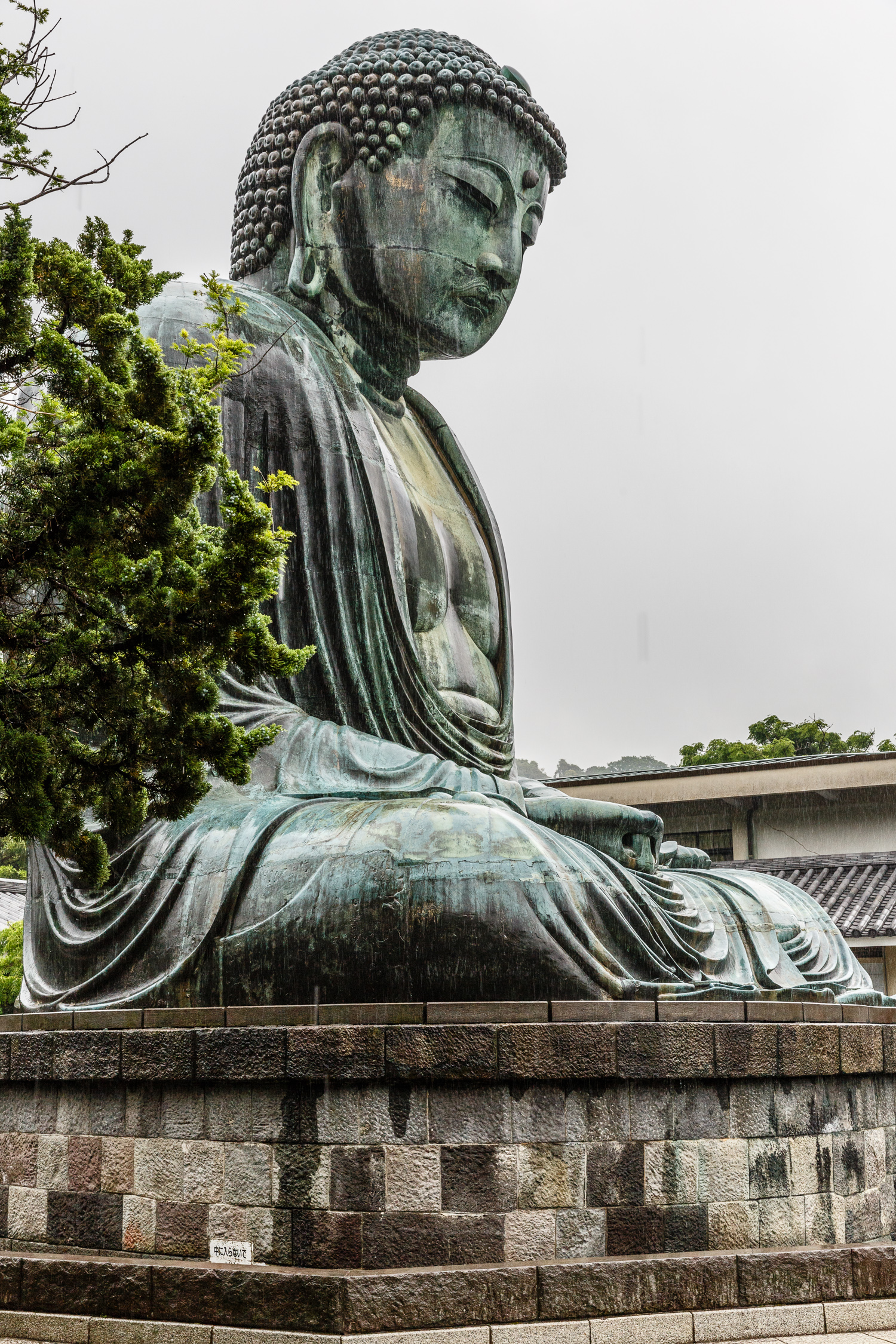 20130611-_5D30736.jpg