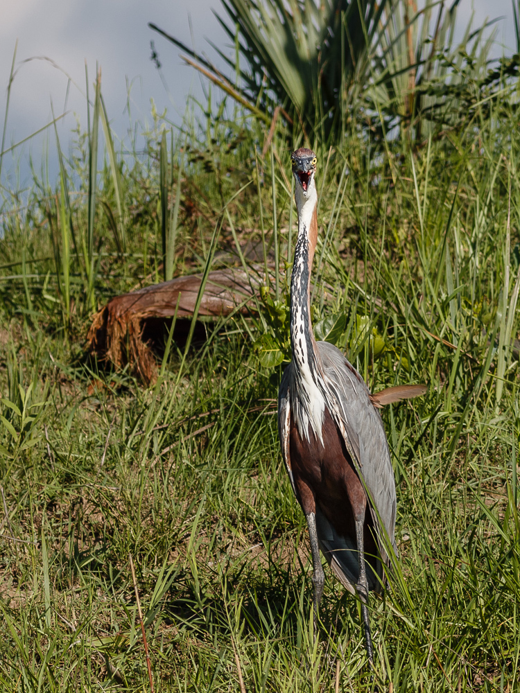 20140105-_1DX6094.jpg