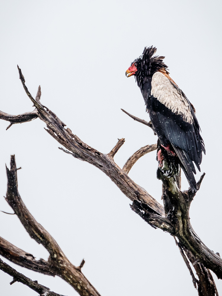 20140102-_1DX4879.jpg
