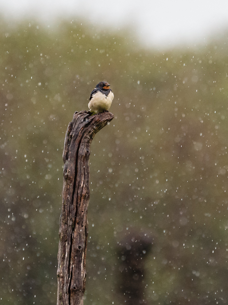 20140102-_1DX4868.jpg