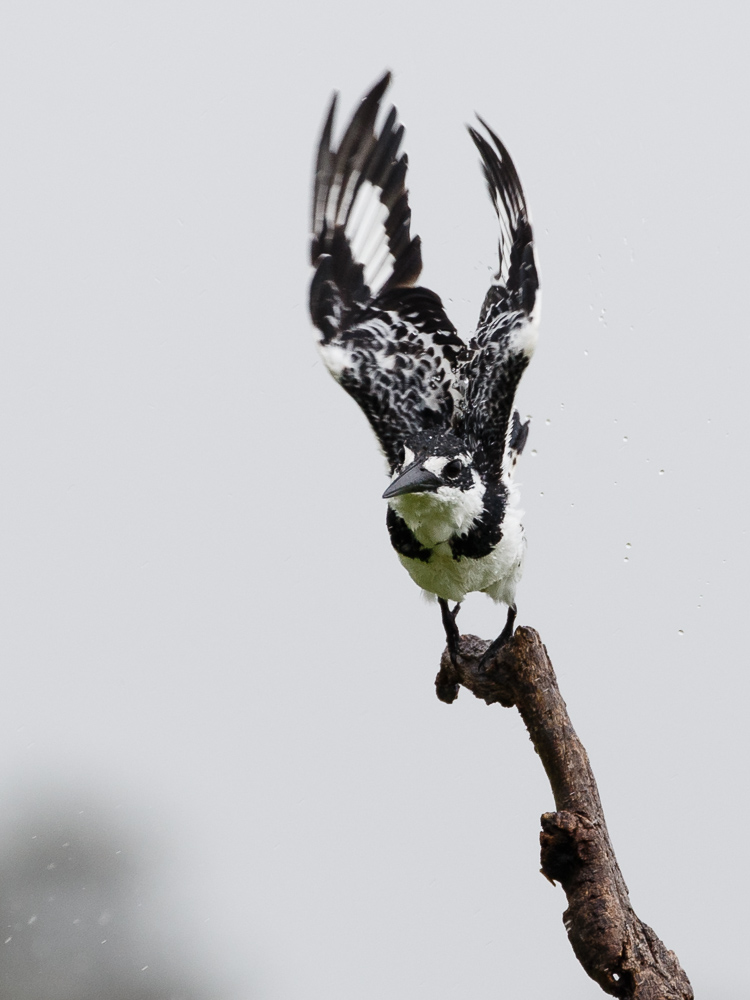 20140102-_1DX4843.jpg