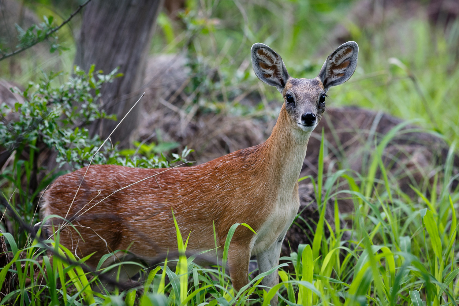 20140108-_1DX7042.jpg