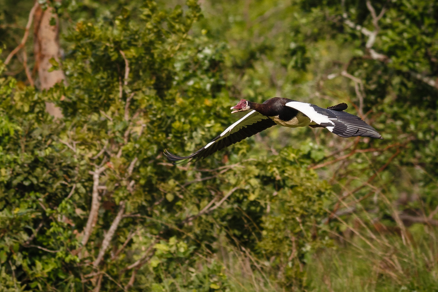20140106-_1DX6234.jpg