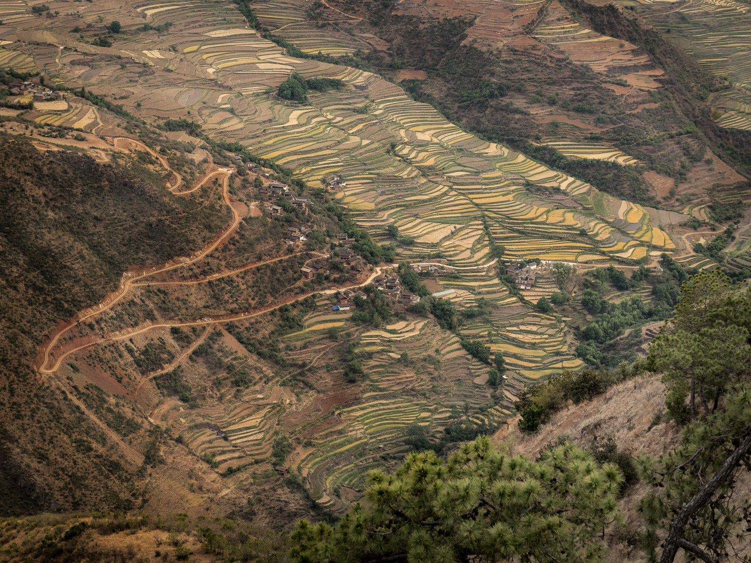20140429-_DSC7116.jpg