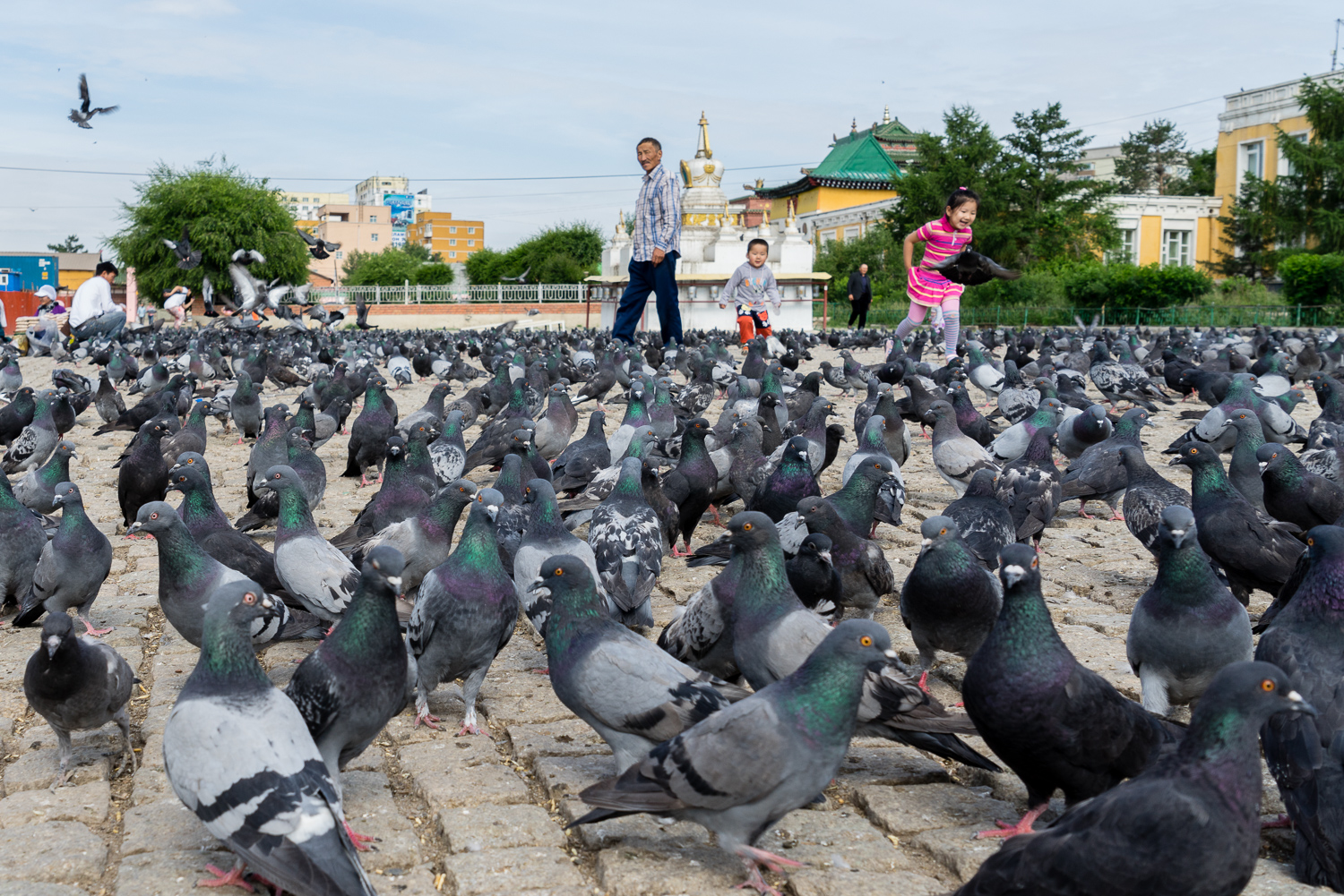 20140627-_DSC1123.jpg