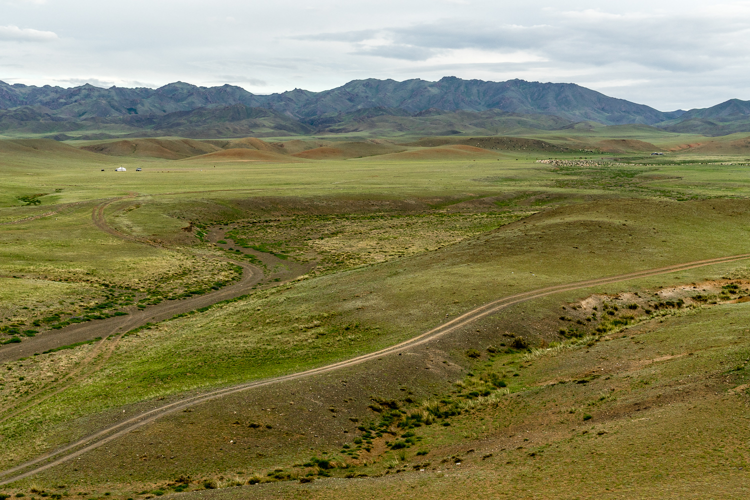 20140627-_DSC1249.jpg