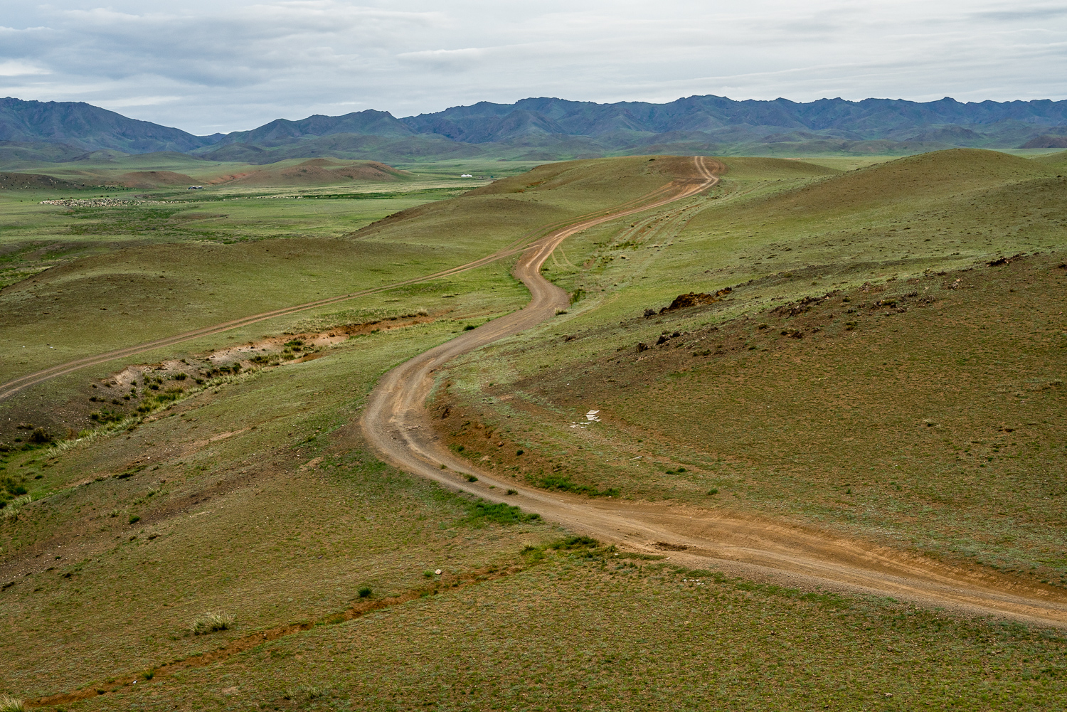 20140627-_DSC1250.jpg