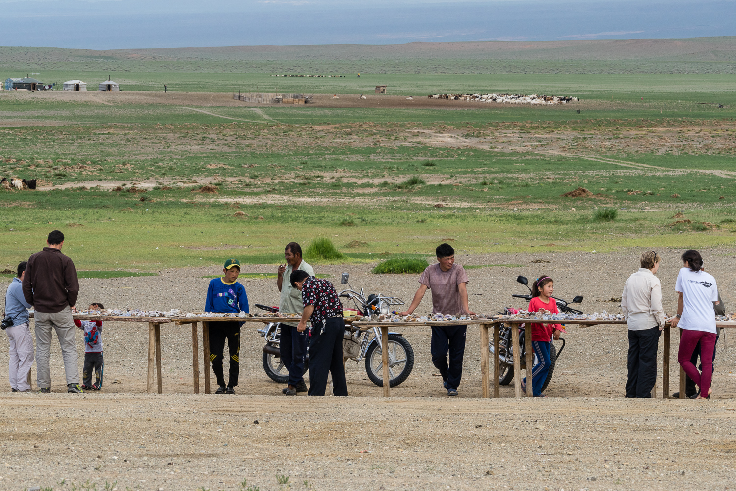 20140629-_DSC1413.jpg