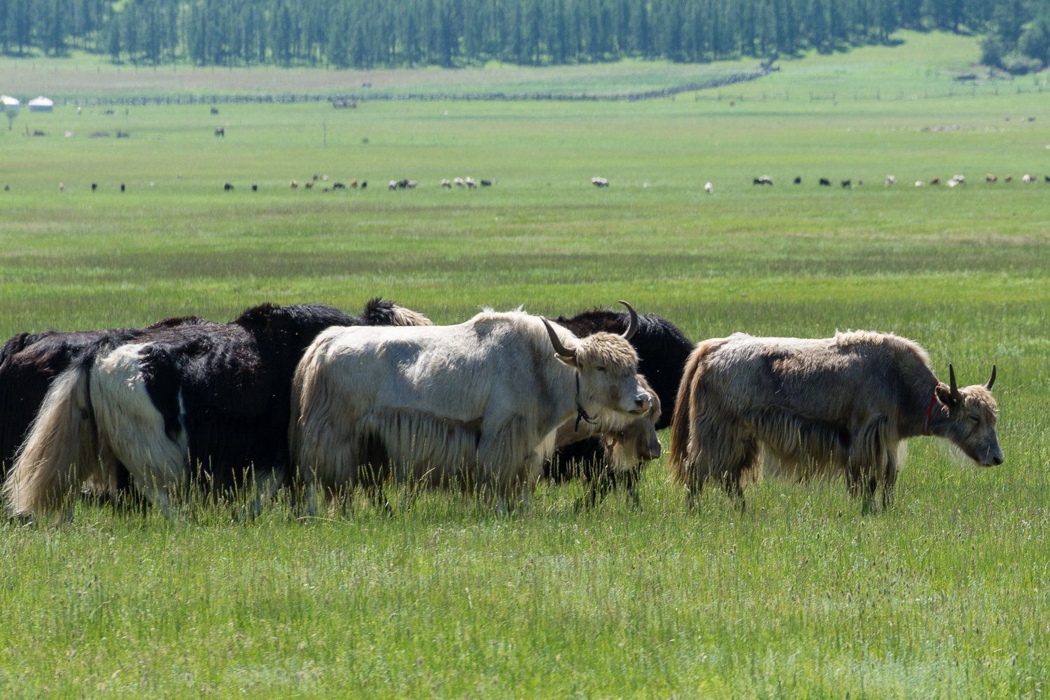 20140702-_DSC2049.jpg