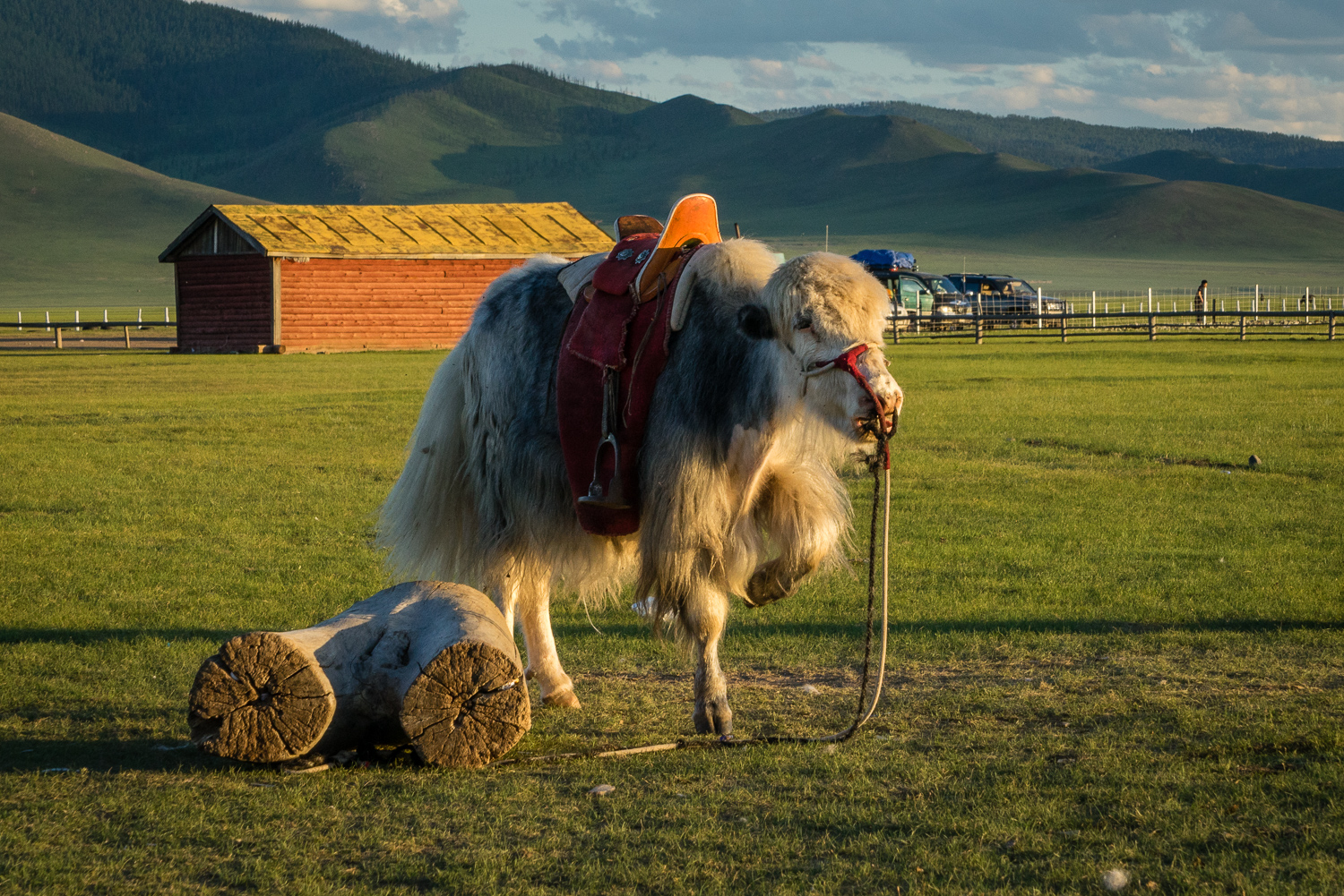 20140702-_DSC2516.jpg