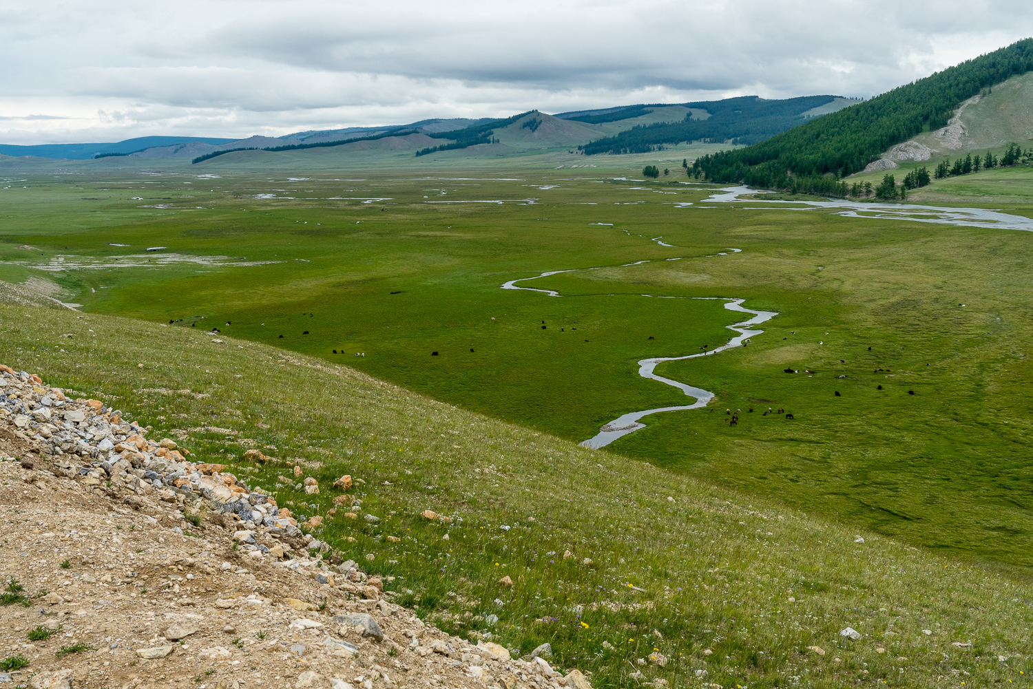 20140706-_DSC4111.jpg