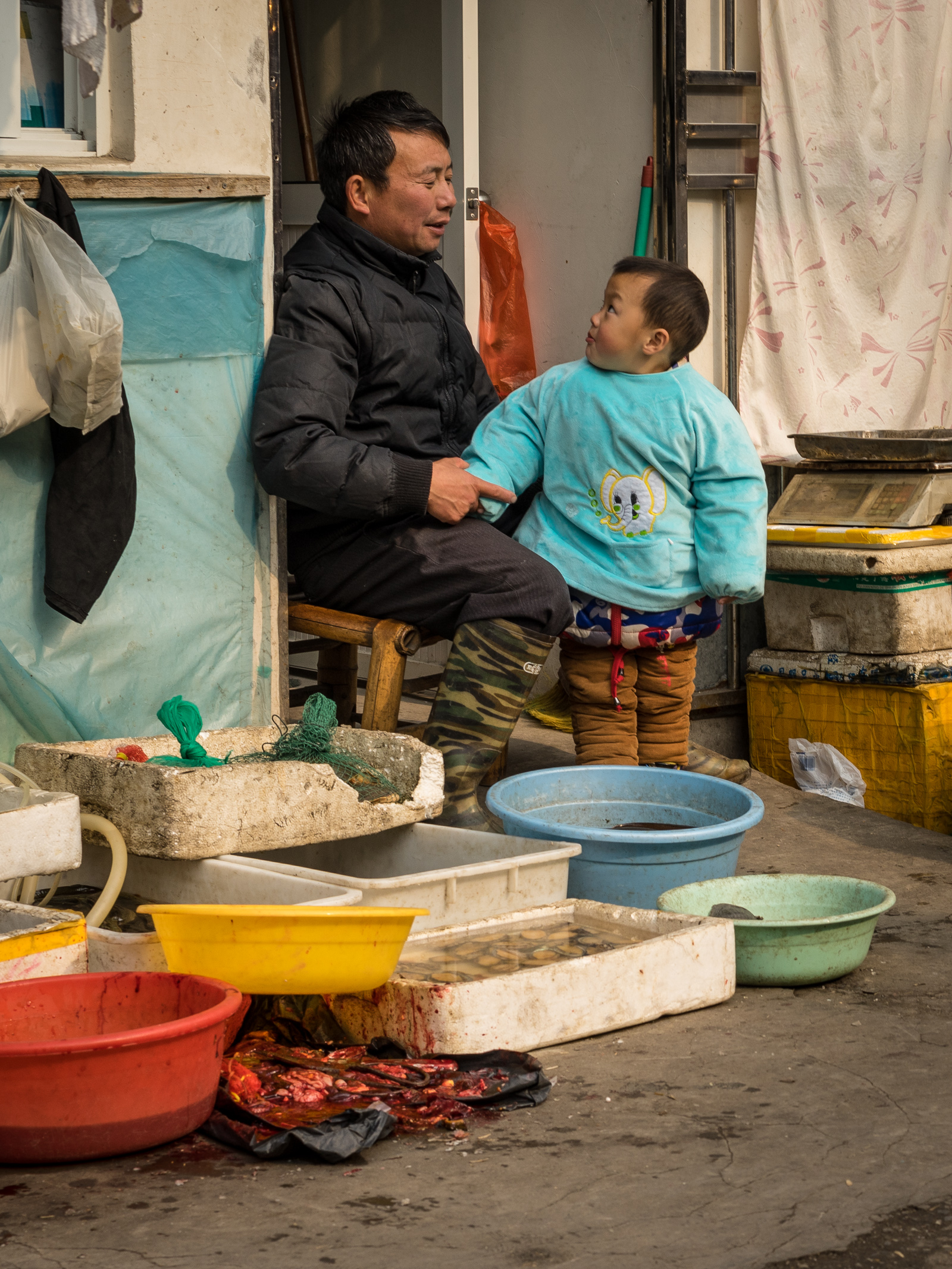 20141231-_DSC9310.jpg