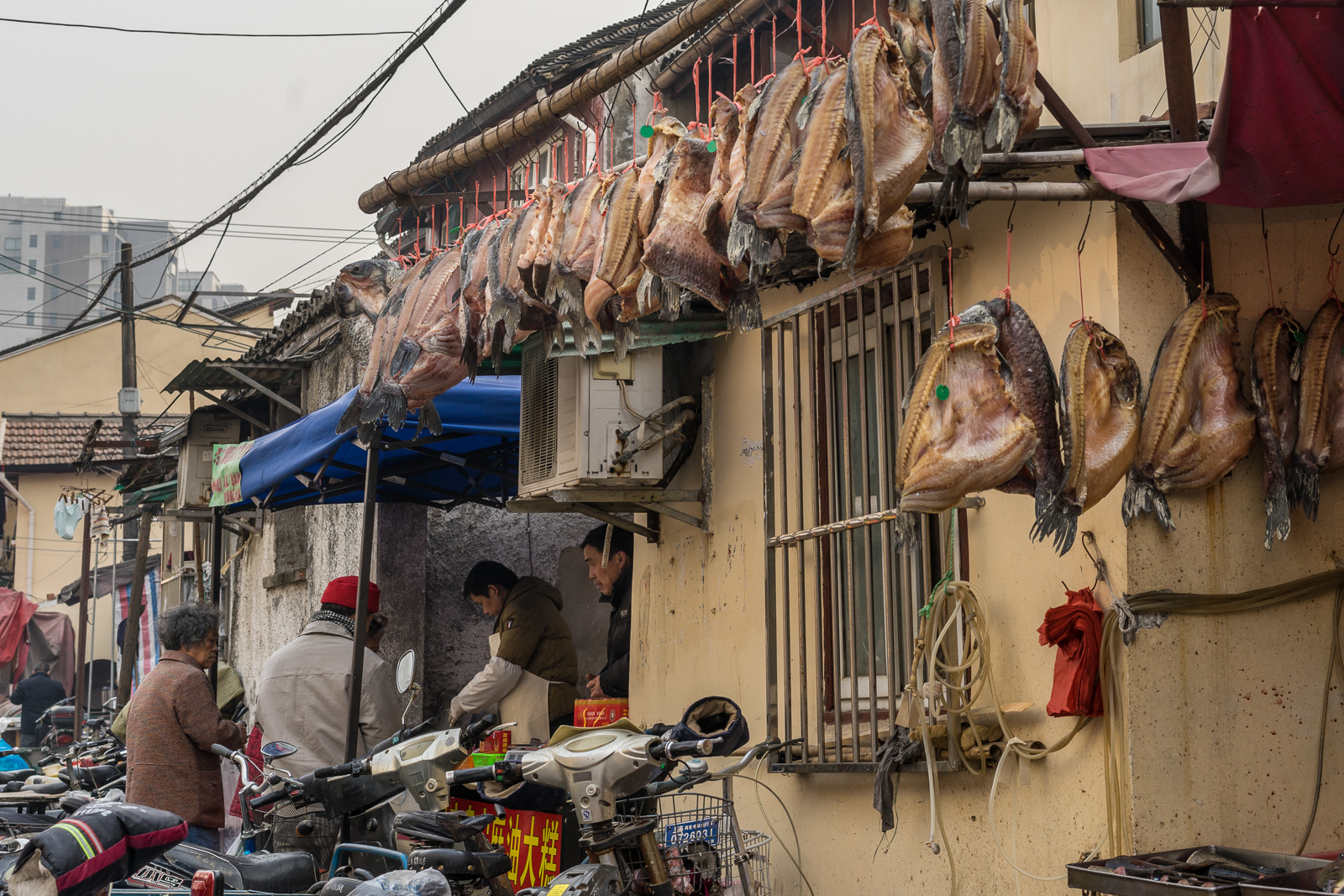 20141231-_DSC9309.jpg