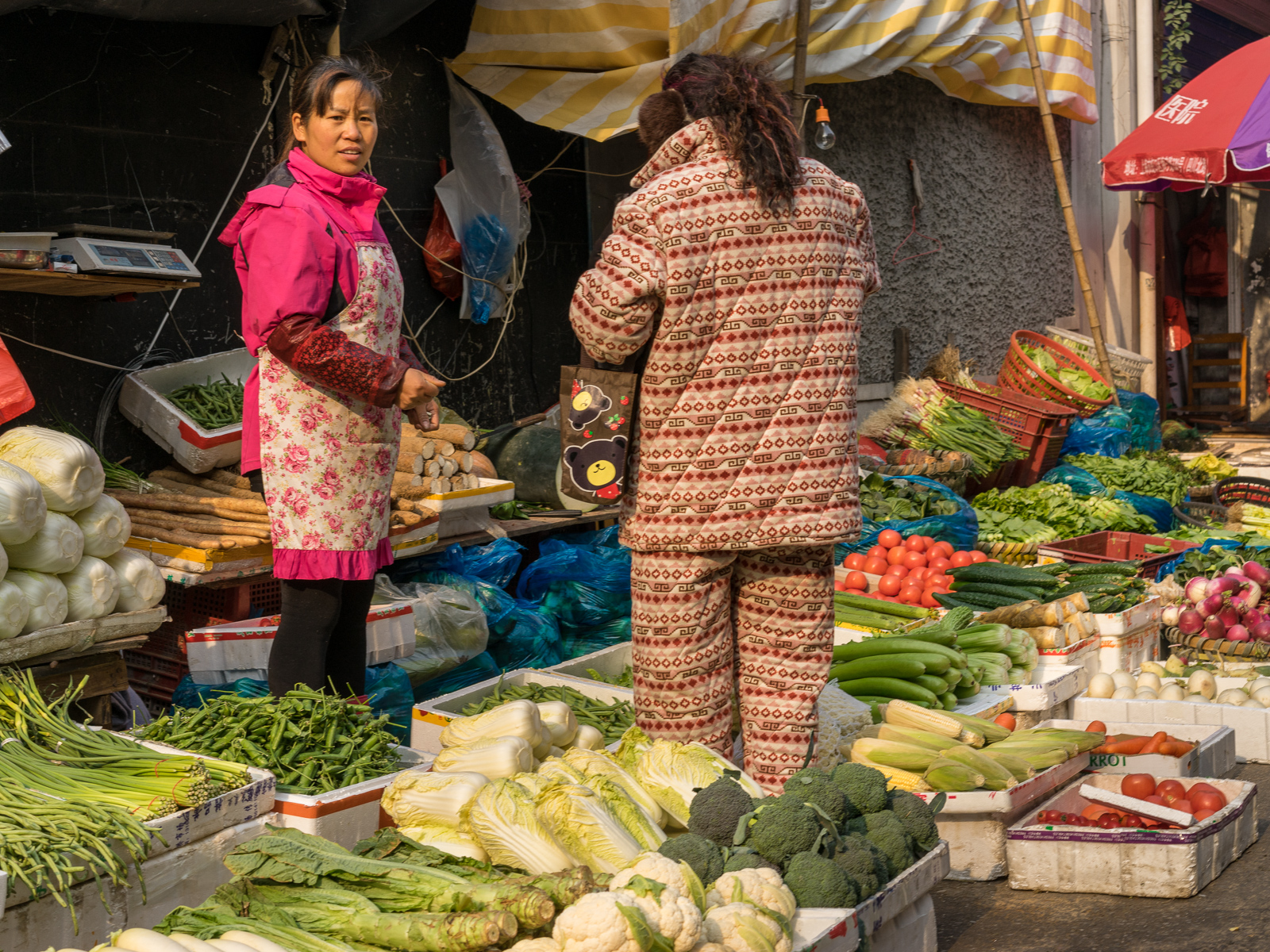 20141231-_DSC9231.jpg