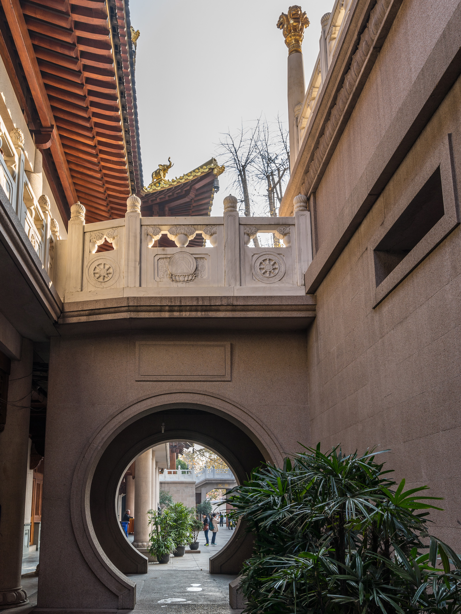 20141230-_DSC9012-2.jpg