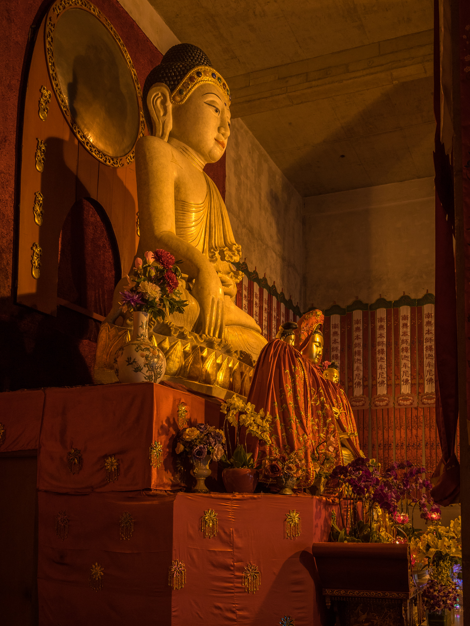 20141230-_DSC9010-2.jpg