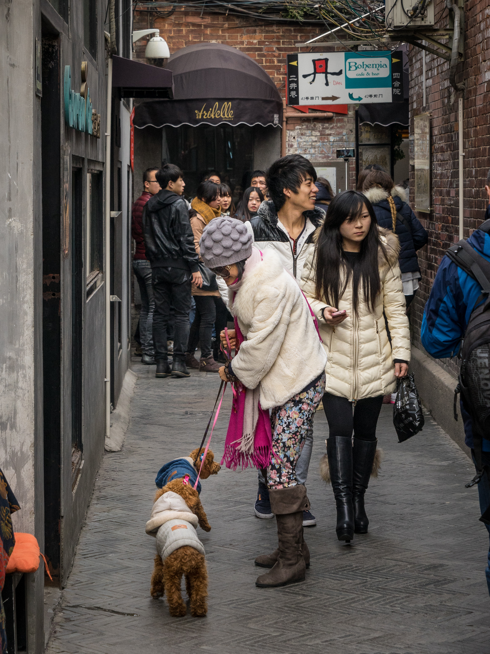 20141228-_DSC1095.jpg