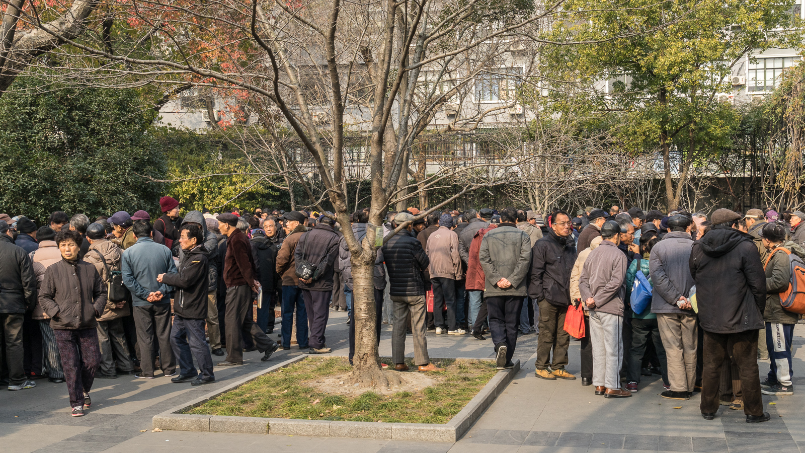 20141228-_DSC1006.jpg