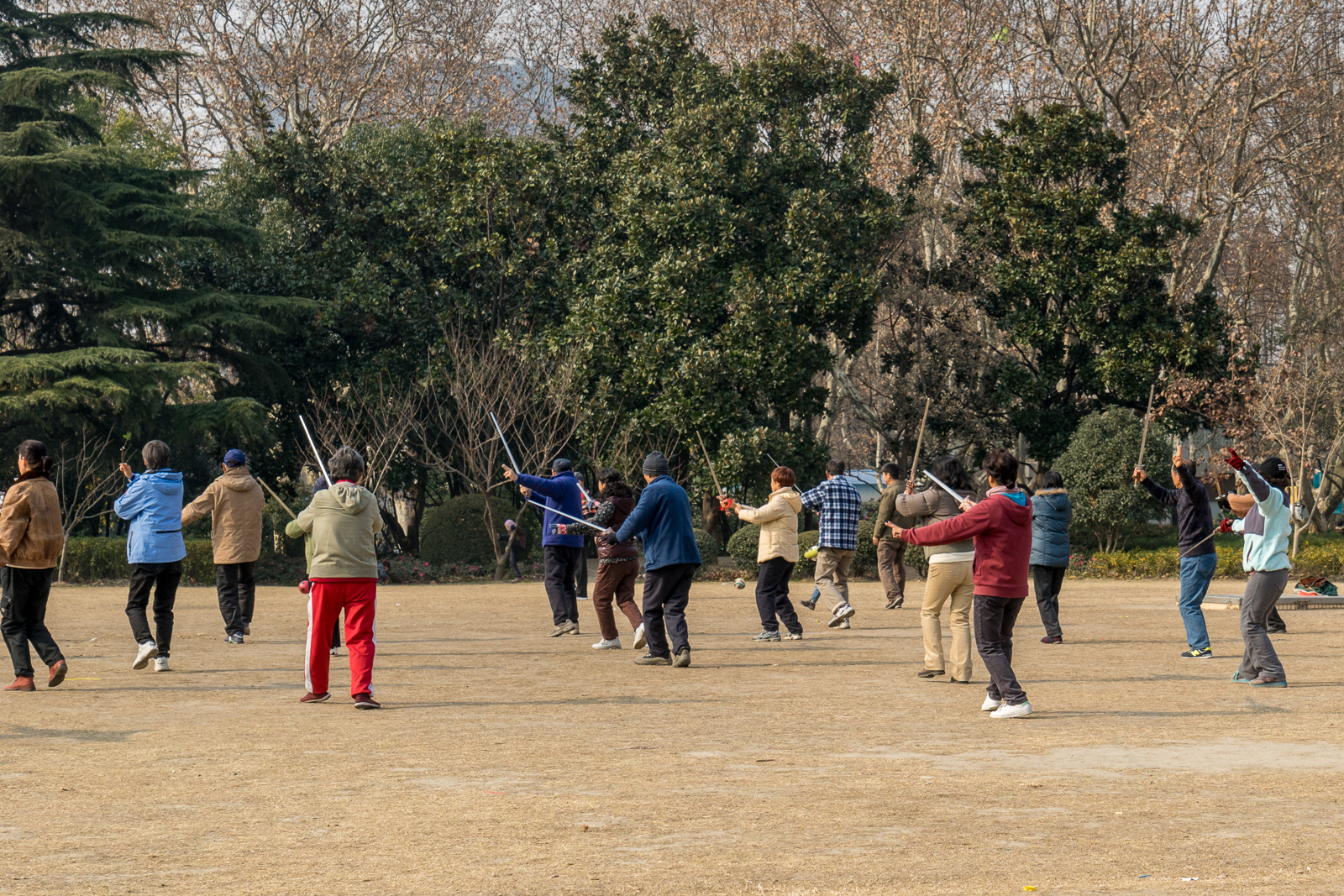20141228-_DSC0957.jpg