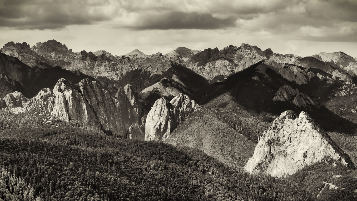 _DSC2583-Edit.jpg