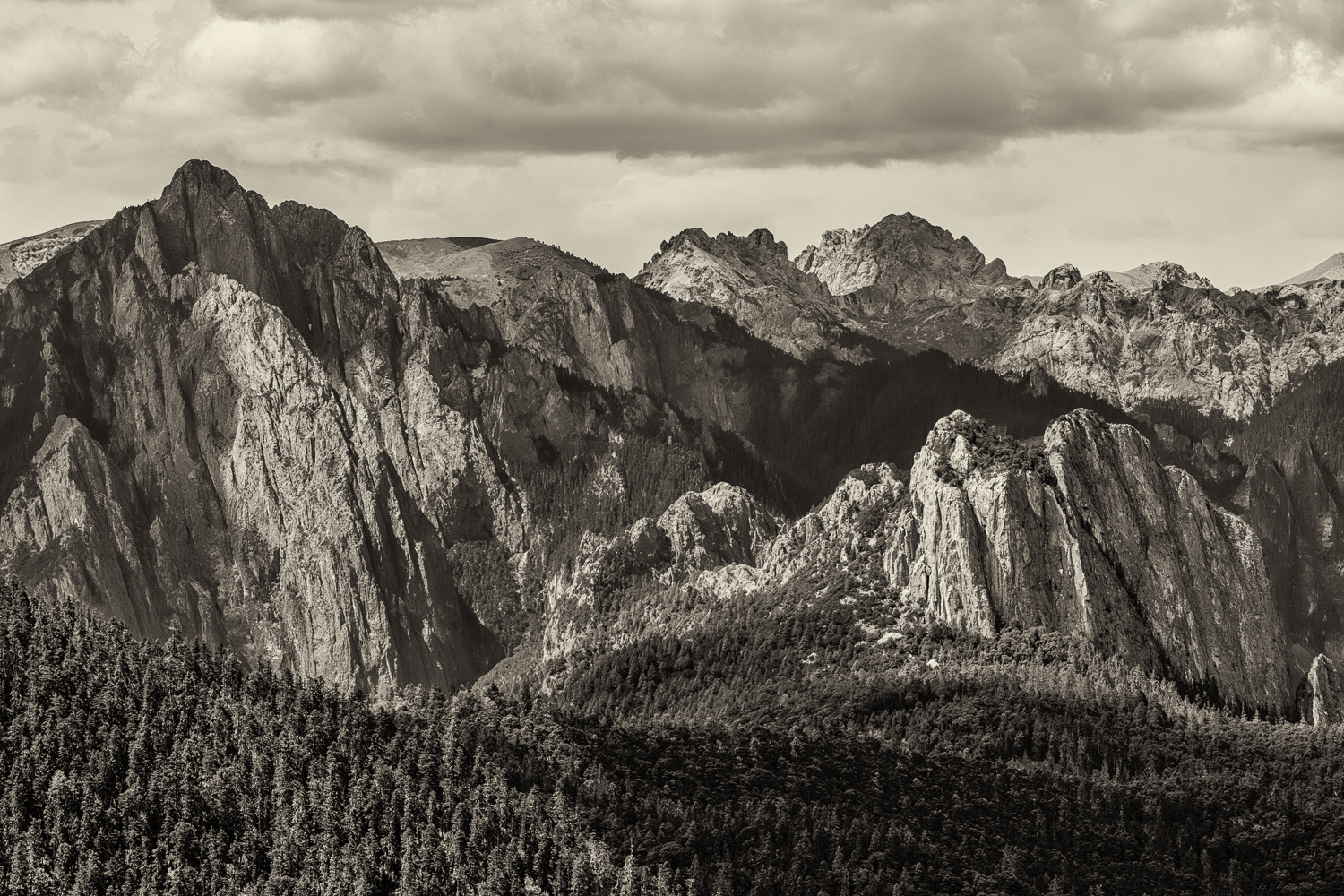 _DSC2585-Edit.jpg