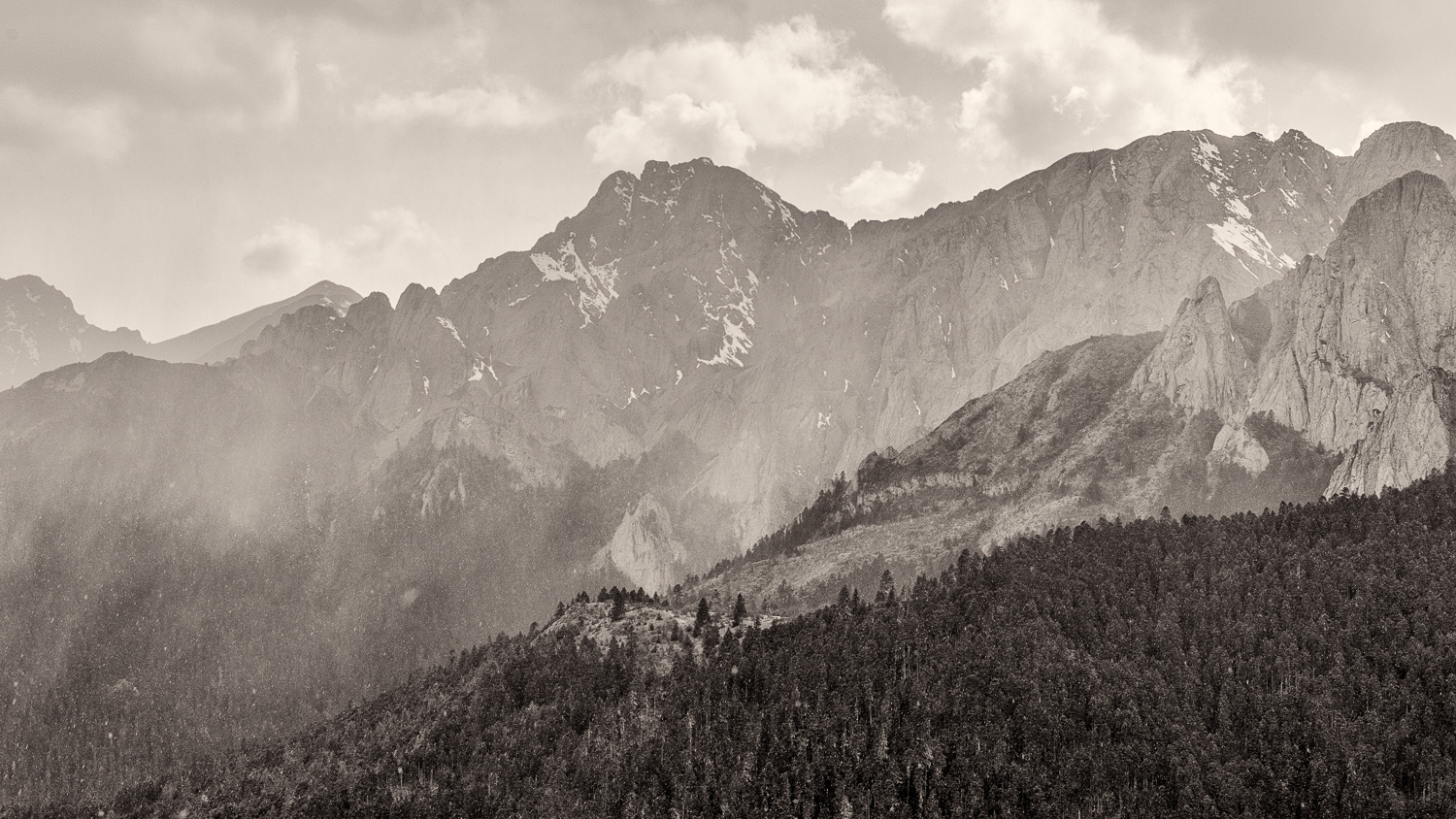 _DSC2608-Edit-2.jpg