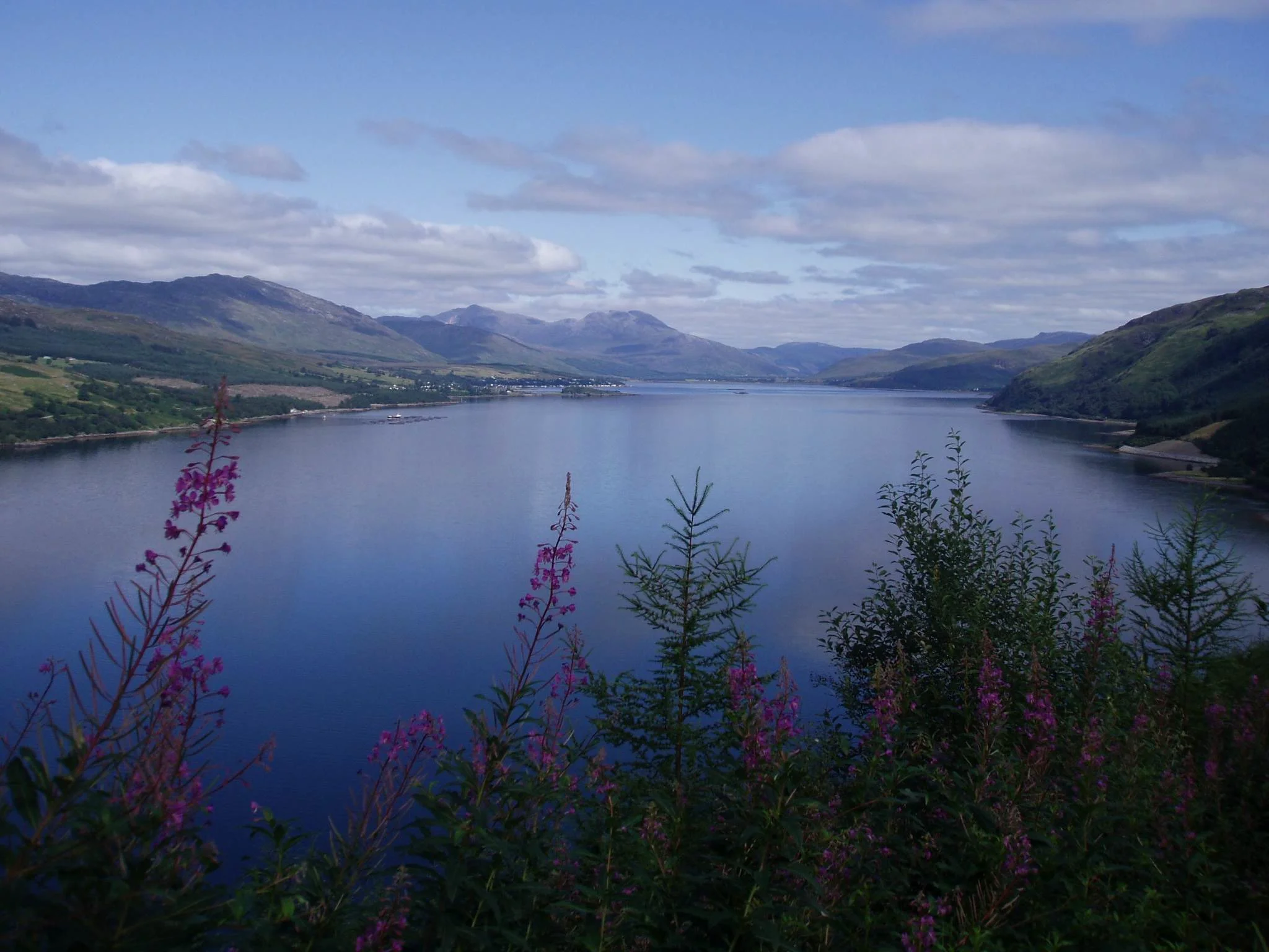 Lochcarron Blue big 2.jpg