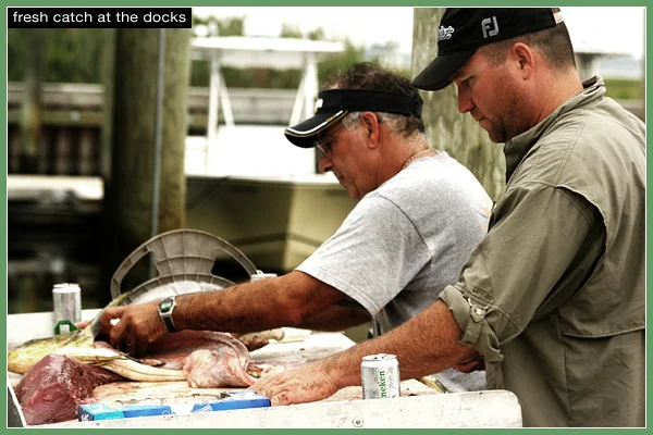 What a treat. Take your kids to the docks when they bring in the day's fresh catch! 