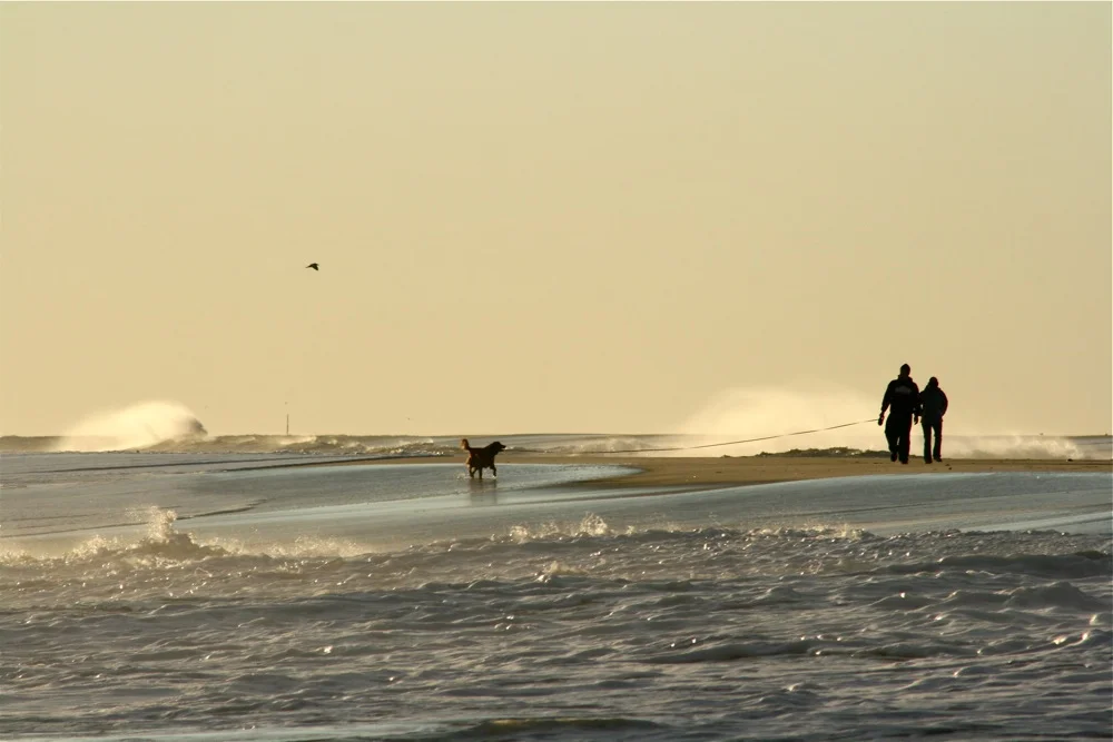 IMG_9725.jpg