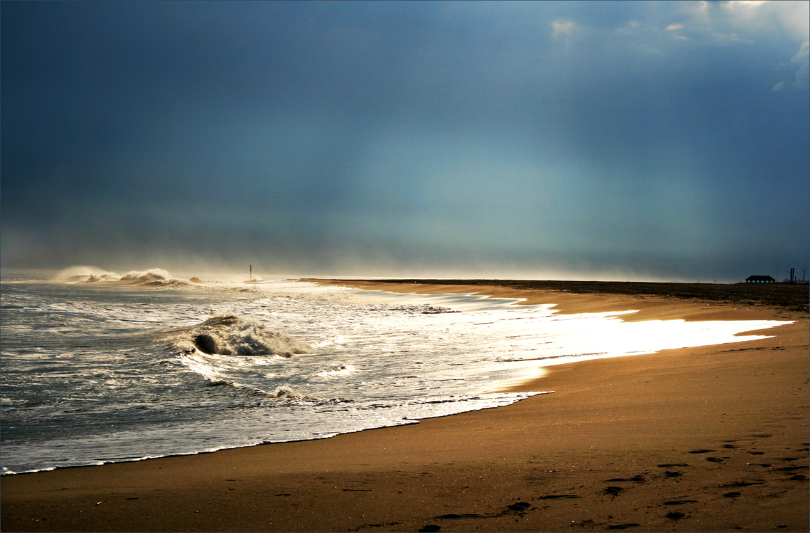 Beach Dreamscape