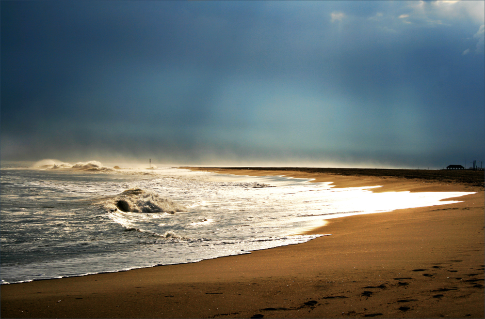 Beach Dreamscape