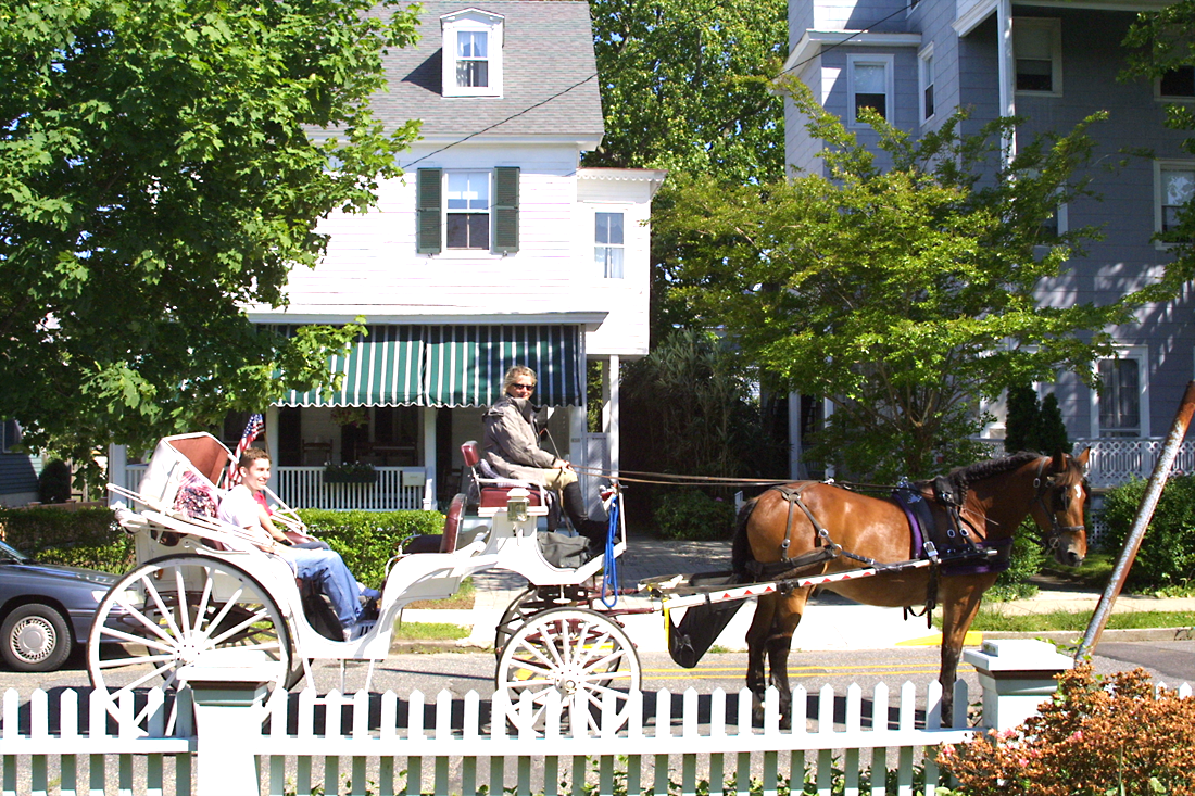 Horse and Carriage Tours on Hughes Street