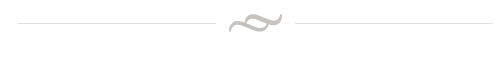 cape may vacation guest house border graphic.png