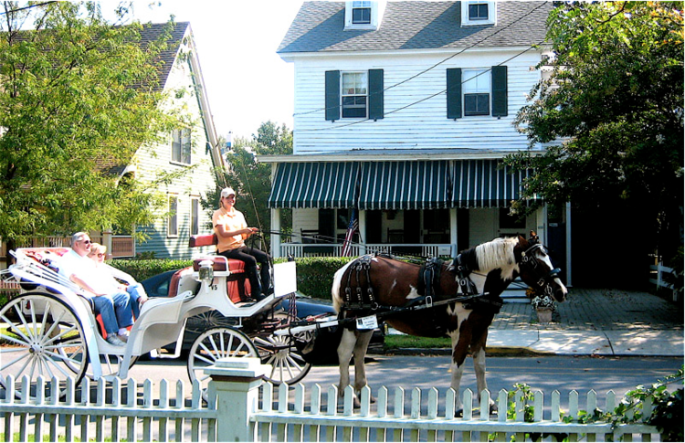 Horse+and+Carriage+in+front+of+the+Longfellow+House.png