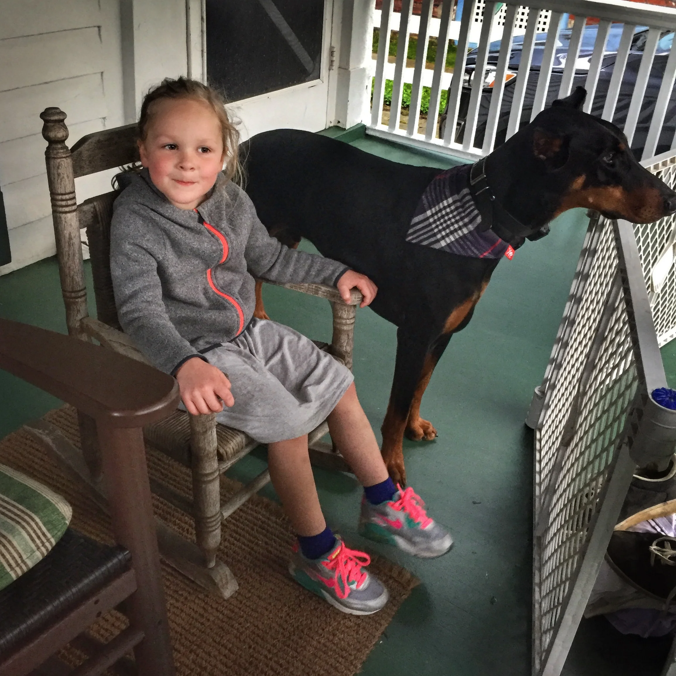 Luella and her bestie Farley watching the horses from the porch